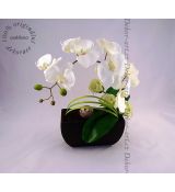 Velice luxusní a dekorativní dekorace do bytu s orchideí v černém truhlíku.
