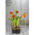 Dekorace s tulipány ve skleněné nádobě a LED světýlky.