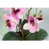 Dekorační orchidej ve červené nádobě