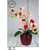 Luxusní valentýnská orchidej v červené keramické váze