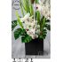 Ikebana s orchidejí pro pocit relaxace