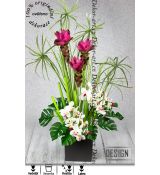 Japonská ikebana s orchidejí a curcumou