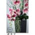 Svěží růžové květy orchideji a LED designové větvičky s krystaly