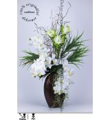 Bytový květinový design krásné bílé orchideje a curcumy
