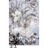 Krásné zasněžené a ojíněné květy magnolií s bílým kapradím