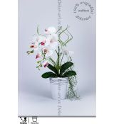 Svěží bílé květy orchidejí v keramickém květináči