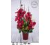 Dekorace plná květů červených tropických orchidejí