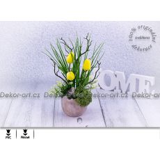 Jarní dekorace s krásnými žlutými tulipány a rozchodníkem