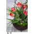 Jarní dekorace s tulipány v teakové míse