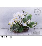 Designová dekorace s krásnými květy bílých orchidejí