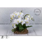 Krásná interiérová dekorace s bílou orchidejí