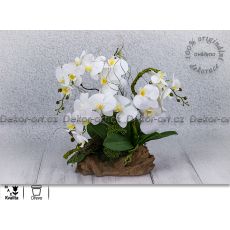 Krásná interiérová dekorace s bílou orchidejí