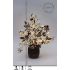 LED vánoční strom se zasněženými květy magnolií