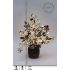 LED vánoční strom se zasněženými květy magnolií