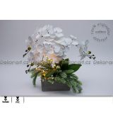 Bílé květy orchidejí s krásnou LED hvězdou