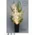 LED dekorace plná bílých orchidejí a krásné kurkumy