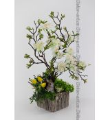 Dotek jara – rozkvetlý stromek s jarní zahrádkou