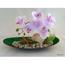Ikebana bytová dekorace s orchidejí a mušlí.